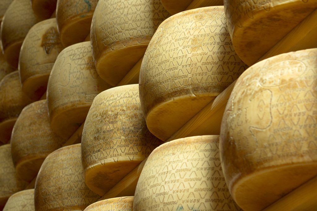 forme di grana padano